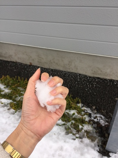 ブログ北海道雪.jpg